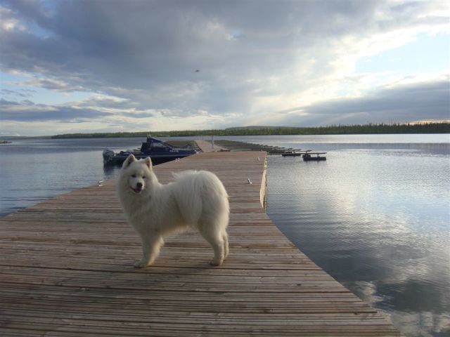 Harbour satamalalituri, Murmansk2.jpg